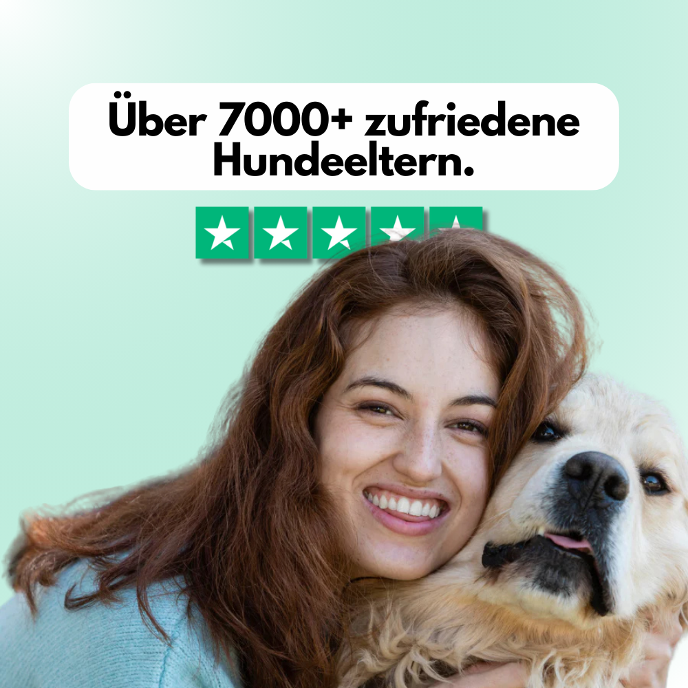 Hundestille | Hundegehörschutz