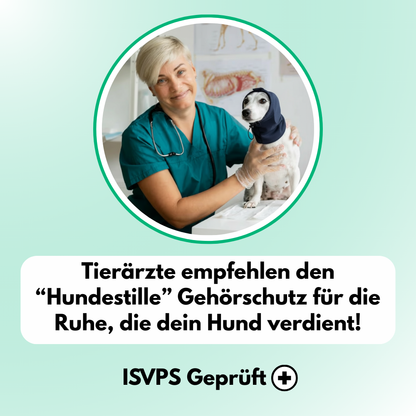 Hundestille | Hundegehörschutz